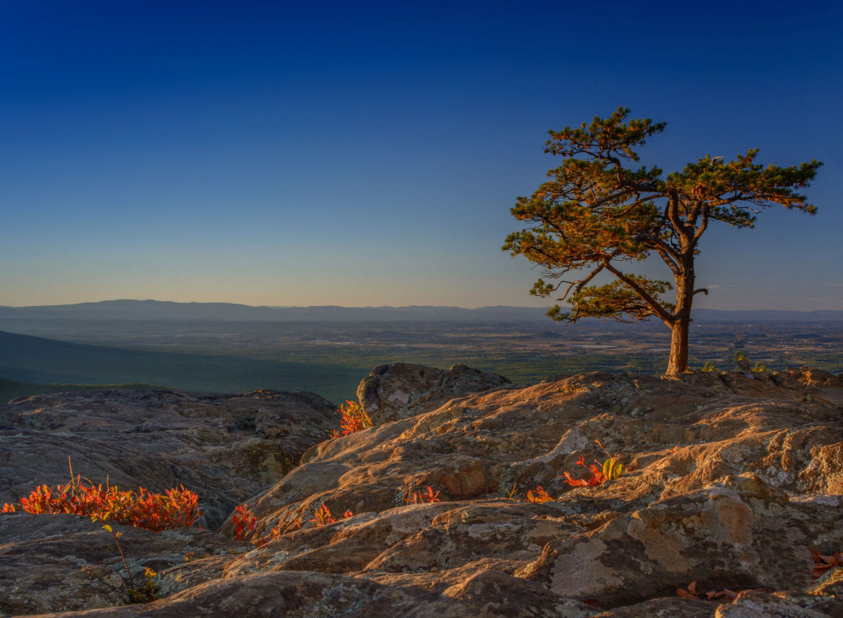 2015 Virginia Vistas: "Raven's Roost"